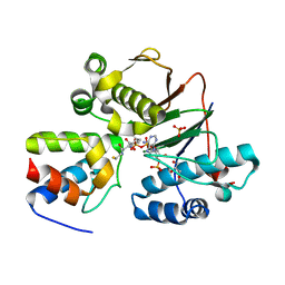 BU of 4mrt by Molmil