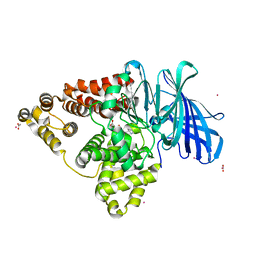 BU of 4ms6 by Molmil