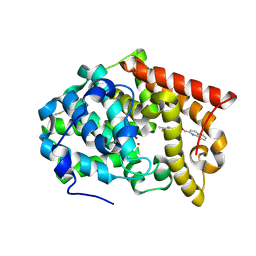 BU of 4mse by Molmil