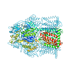 BU of 4mt1 by Molmil