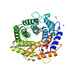 BU of 4mu9 by Molmil