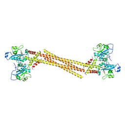 BU of 4mvd by Molmil