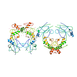 AU of 4mvt by Molmil