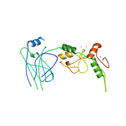 BU of 4mvt by Molmil