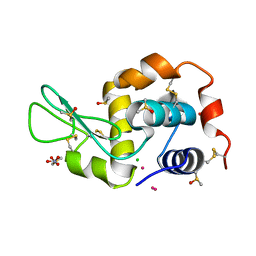 AU of 4mwn by Molmil