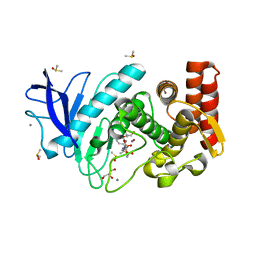 BU of 4mwp by Molmil