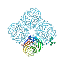 BU of 4mwr by Molmil