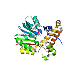 BU of 4mwz by Molmil