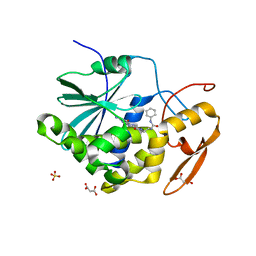 BU of 4mx1 by Molmil