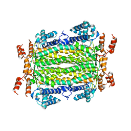 BU of 4mx2 by Molmil