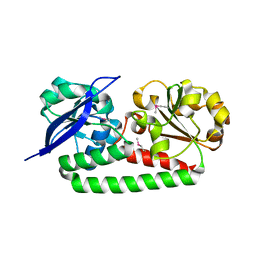 BU of 4mx8 by Molmil