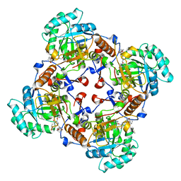 AU of 4mxs by Molmil