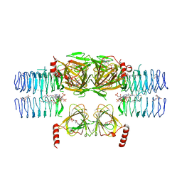 BU of 4mzu by Molmil