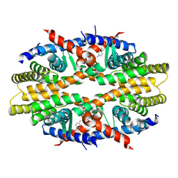 BU of 4n5g by Molmil