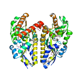 AU of 4n5w by Molmil