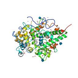 AU of 4n7a by Molmil