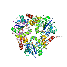 BU of 4nat by Molmil