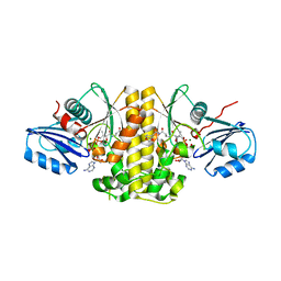 BU of 4nb4 by Molmil