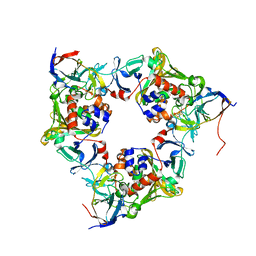 BU of 4nb9 by Molmil