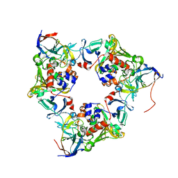 BU of 4nbb by Molmil