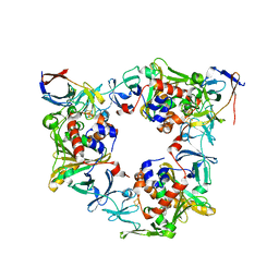 BU of 4nbd by Molmil