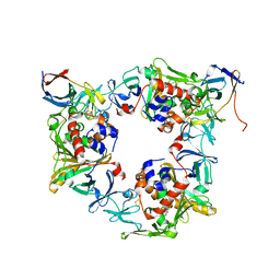 BU of 4nbe by Molmil