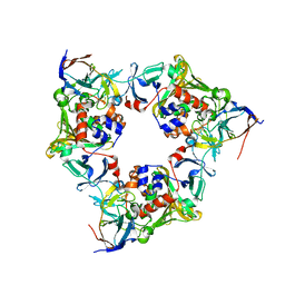 BU of 4nbf by Molmil