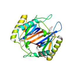 BU of 4nbi by Molmil