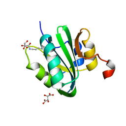 AU of 4nbp by Molmil