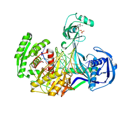 BU of 4ncb by Molmil