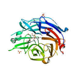 BU of 4ncs by Molmil