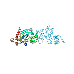 BU of 4nda by Molmil