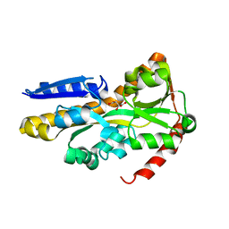 BU of 4nf0 by Molmil