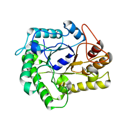 BU of 4nf7 by Molmil