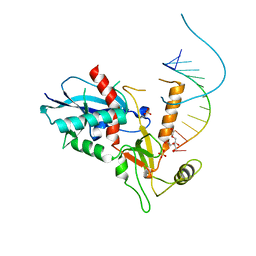 BU of 4ngd by Molmil