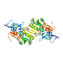 BU of 4nh4 by Molmil