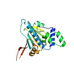 BU of 4nh9 by Molmil