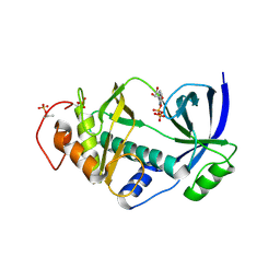 BU of 4nl0 by Molmil