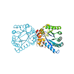 BU of 4nl1 by Molmil