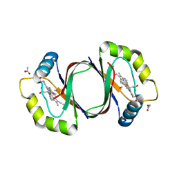 BU of 4nl5 by Molmil