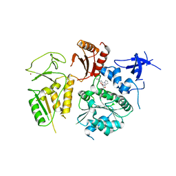 BU of 4nl8 by Molmil