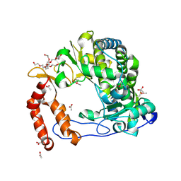 BU of 4nlq by Molmil