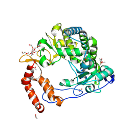 BU of 4nlw by Molmil