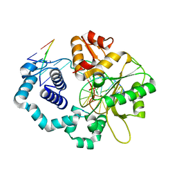 BU of 4nm1 by Molmil