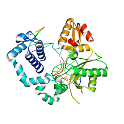 BU of 4nm2 by Molmil