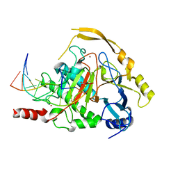 BU of 4nm6 by Molmil