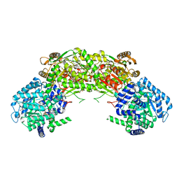 BU of 4nm9 by Molmil