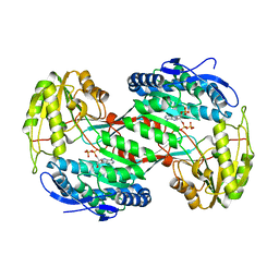 AU of 4nmk by Molmil