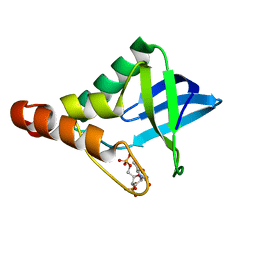 BU of 4np5 by Molmil