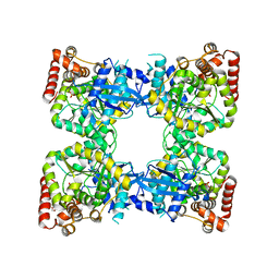 BU of 4npa by Molmil